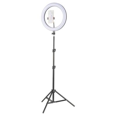 China Wholesale Beauty PORTABLE Photographic Selfie Led Ring Light With Tripod Stand For Live Stream Makeup Youtube Video for sale