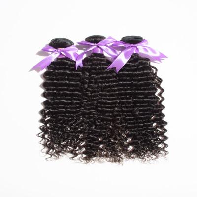 China Virgin Deep Curly Hair MsMary 10A Best Quality Deep Curly , 100% Bouncy Hair for sale