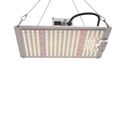 China Seed Starting ETL/CE/ROHS/FCC 100W LED Grow Full Spectrum 2.7umol/J 0-10V Daisy Chips Dimmable With LM301b And China Brand Light Chain Driver for sale