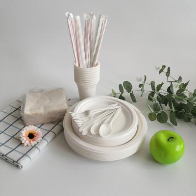 China Disposable Eco-Friendly Disposable Products Dishes Disposable Sugarcane Sugarcane Tableware Set Compostable for sale