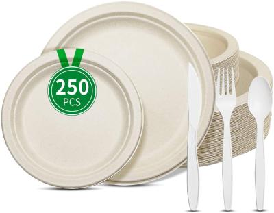 China 250 Piece Disposable Biodegradable Paper Plates Set 100% Eco Friendly Compost Disposable Plates Bag for sale