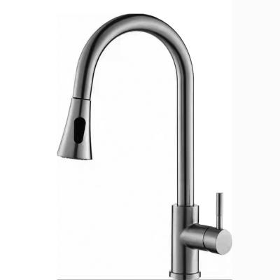 China Pull Out Silver Spray TALLSEN 304 Stainless Steel Kitchen Water Faucet Modern Kitchen Faucet for sale