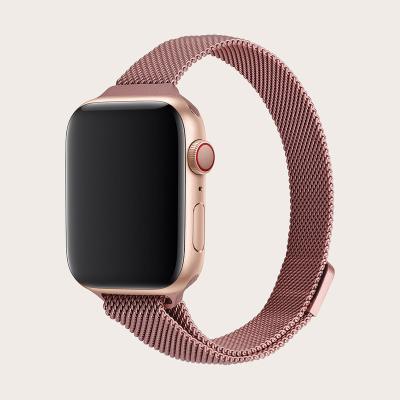 China Popular Selling Stainless Steel Loop Stainless Steel Milanese Band With Case Strap Women/Men Clock Watch Band For Apple Watch 6/5/4/3/2/1 for sale