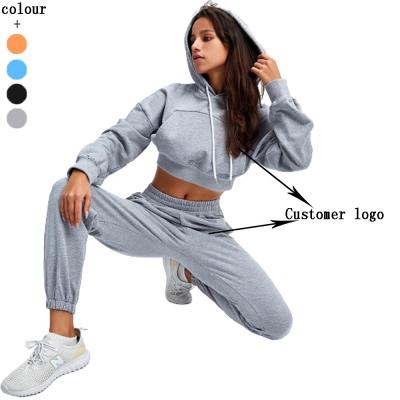 China Fashion Women Windproof Sports Wear Athleisure Workout Clothing Tracksuit Two Piece Activewear Long Sleeve Yoga Set for sale