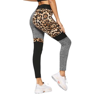 China Autumn Elasticity High Waist Hip QUICK DRY Tight Spring And Lift And Abdomen Tight Yoga Pants for sale