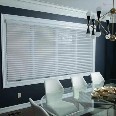 China Minimalist Company Electric Motor Triple Windows Motorized Blinds And Auto Shades for sale