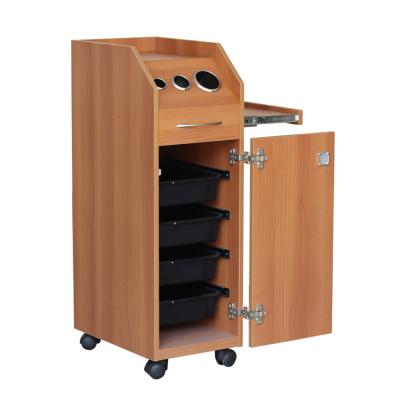 China DTY Storage Space Hair Nail Salon Storage Shampoo Color Wall Cabinet Beauty Trolley Multiple Furniture for sale