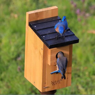 China Products CWH3 Cedar Bluebird Box House Bird's Way Natural Material Nature for sale