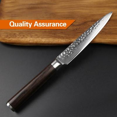 China Viable Manufactures Custom VG10 Damascus High Quality Japanese Stainless Universal German Kitchen Knife for sale