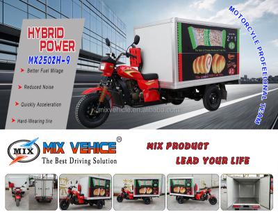 China fully enclosed cargo box LIFAN 300cc 250cc 200cc tricycle MX250ZH-9 for sale