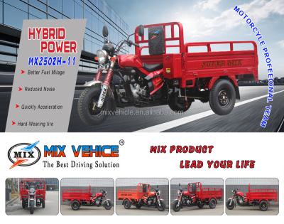 China 250CC Larger Cargo Torque And Power Cargo Three Wheels Heavy Loading Motorcycle for sale