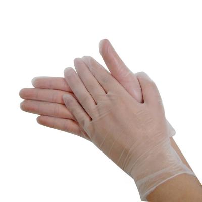 China Cheap Clear PVC (Vinyl) Examination Gloves Medical Powder Free Transparent Hand Cleaner Chamber for sale