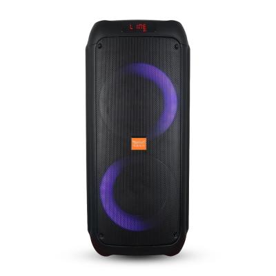 China No Speaker BT Speaker FG206-09 Latest Feiyang Dual 6.5 Inch Feiyang Speaker Battery Charging Karaoke DJ Wireless Party Speaker for sale