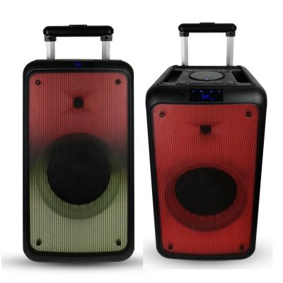 China Video Call Fire Lighting Party 2021 Newest 8 Inch Box Speaker Without Trolley High Power Big Bass for sale