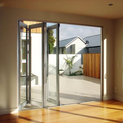 China AS2047 Modern Top Selling Modern Home Aluminum Channel Front Proof Hurricane Storm Door en venta