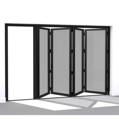 China 2021 Modern New Design Swing Mirrored Bifold Swing Doors For Garage Patio Apartment en venta