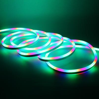 China AC220V 5050 Square LED Strip Light Side Waterproof Simple Flexible LED Lamp Colorful Neon Lamp for sale