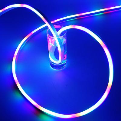 China Square 2835-120D-12V-2.5 Cm One Cut No Wire Single Sided Bright Flexible Light Strip Neon Light for sale