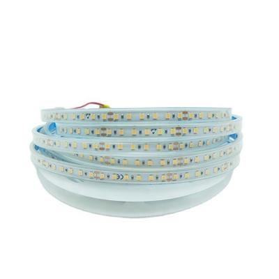 China LANDSCAPE Economical Custom Design Dc12v 24VCustom smd2835-120Light Led Strip Light IP68 Waterproof for sale