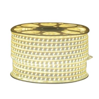 China Hotel led flexible strip light DC 220V 5730 waterproof 120led led strip light for sale