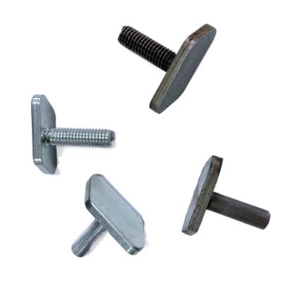 China China Stainless Steel Factory Supply 304 Stainless Steel T Bolt And Nuts for sale