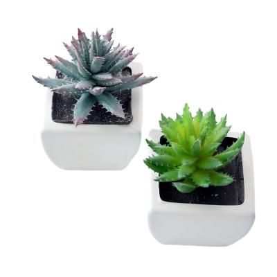 China Plastic Simulation Aloe Vera Vera Plant Home Decoration Green Plant Flower Pot Succulent Flower Set Border Furnishings for sale