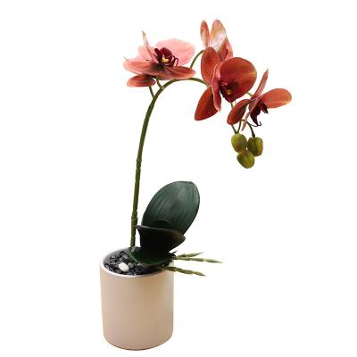 China Home flower potted living room decoration plant simulation long branch decorative Nordic phalaenopsis orchid for sale