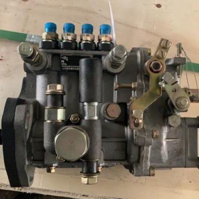 China Building Material Shops Diesel Engine Injection Oil Pump for sale