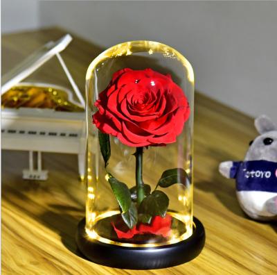 China Natural Green Wholesale Green Main Glass Eternal Gift Flower Box Durable Preserved Touch Stem Roses for sale