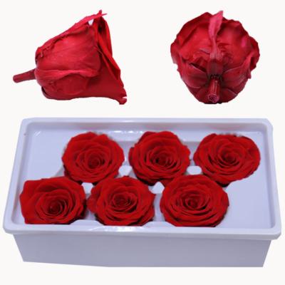 China Gift & Craft Green Grace Preserve Flower 5-6cm Piaget Rose Decorative Flower Heads In Gift Box Floral Arrangements for sale