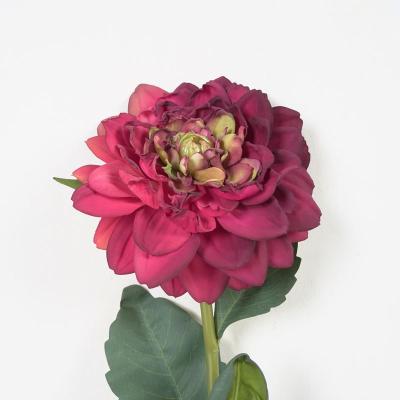 China Contemporary artificial dahlia flowers sing 11*65cm most beautiful fake sing dahlia silk flowers for home decorations for sale