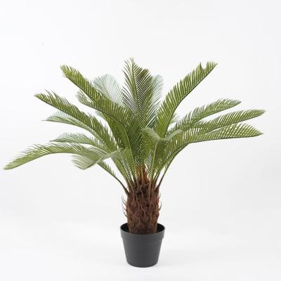 China Contemporary Artificial Potted Trees Looks Large 65*65cm Cycad POTTED TREE lvs21 Fake Bonsai Plants For Indoor Decorations for sale