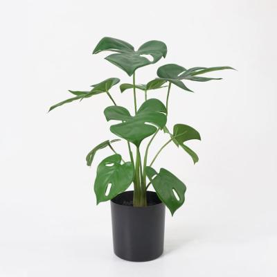 China Fake Potted Contemporary Artificial Monstera Monstera 2021 New 31*24*38cm To PP Pot / Lvs9 Bonsai Plants For Home Decorations for sale