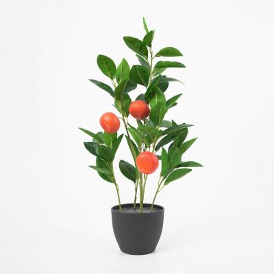 China Contemporary Artificial Orange Tree Potted With Fruit 20*19*49cm Faux Orange In PP Pot Bonsai Plants For Indoor Decorations for sale