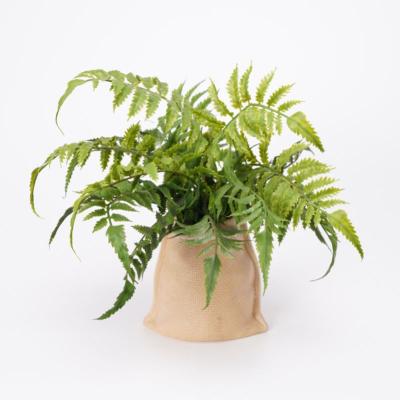 China Contemporary Artificial Grass Boston Fern Size 29cm Nearly Natural Faux Plant In Terracotta Pot for sale