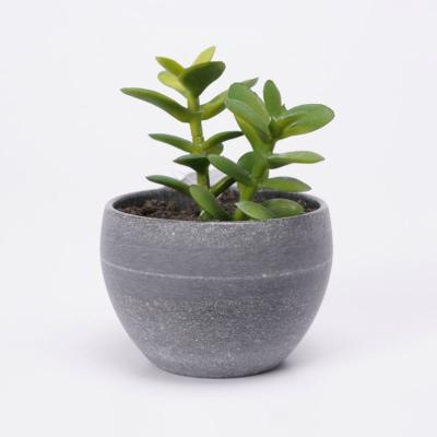 China Contemporary Artificial Mini Potted Plants 8*10cm Cute Potted Succulents Mini Potted Plants for sale