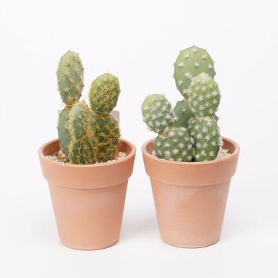 China Rustic Artificial Cactus Plastic Fake Plant Natural Looking Fake Spines 8.5*8*15.5cm Soft Cactus In PP Pot for sale