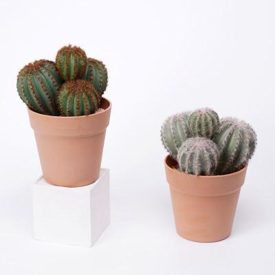 China Natural Looking Fake Cactus 16*14.5*23cm Medium Rustic Fake Cactus Spherical Cactus In PP Pot for sale