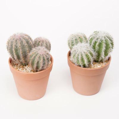 China Rustic Faux Thorns Artificial Cactus Plant Soft Cactus Pot Looking Fake Plastic In Natural All-season PP GS-45219106 720 10.5*10.5*16cm for sale