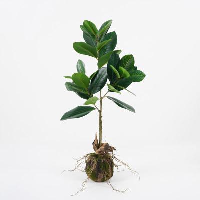 China Contemporary Artificial Mulberry Leaves Fake Potted Moss 39*18*81cm Fake Leaf To PP Pot Bonsai Plants For Indoor Decorations for sale