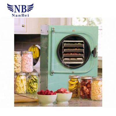 China House Use Food Freeze Drying Food Freeze Dryers Sale Mini Freeze Drying Machine for sale