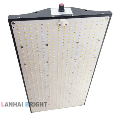 China Seed Growing Samsang LM281B LM301B H Panel Cultivator Full Spectrum 200W Indoor Plants Meanwell Driver LED Horticultural Lamp Grow Lights for sale