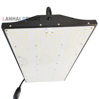 China Seed Starting 2022 Samsung New Design 200W 240 Watt Panel Light Full Spectrum Led To Grow Light for sale