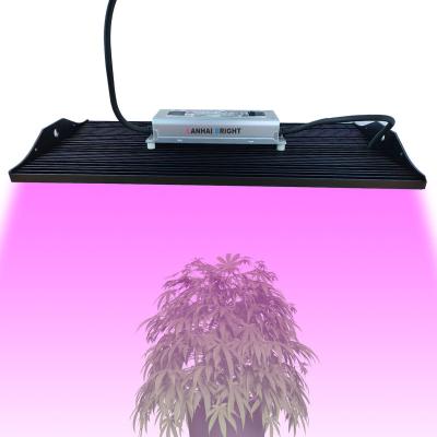 China Seed Starting Light Lanhai 200W 300W Full Spectrum Led Grow Panel Farm Green House Vertical Cultivation Planting Plant Grow Light for sale