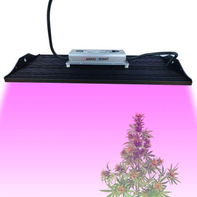 China Seed Starting Full Spectrum 2000W 200Watt Quality Panel Lamp Duol Chips Indoor Red Blue Horticultural Plant Grow Lights For Medical Herb for sale