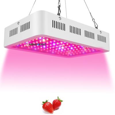 China Seed Seed Planting Lanhai CE ROHS Greenhouse 600W 1000W 1200W Bright Indoor Full Spectrum Plant Lighting Plant DIY Led Panel Grow Light Kits for sale