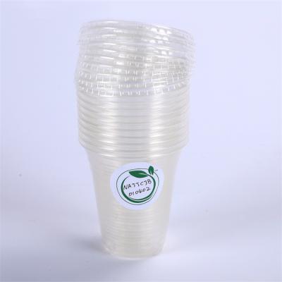 China Wholesale Compostable Disposable Beverage Drink Cups Pla Cupice Coffee Cup Takeaway Cups for sale