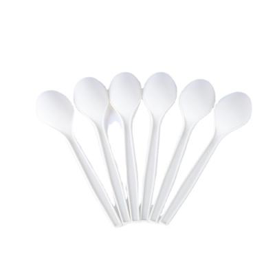 China Shop Sustainable Wholesale Customize Color Degradable Disposable Dessert Spoon for sale