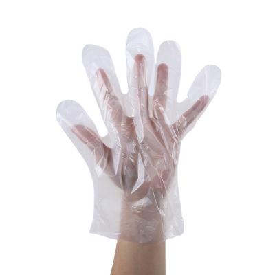 China Food Environmental Friendlyand Sustainable Biodegradable Disposable Kitchen Plasticgloves for sale