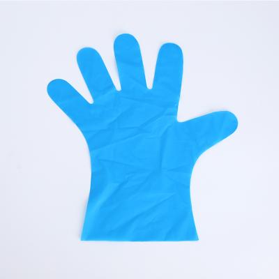 China Wholesale Powder Free Plastic Gloves China Food Grade Disposable Gloves Family Beauty Strip Waterproof Cleaning Gloves for sale